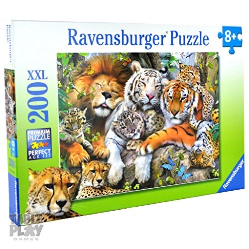 New Zealand South 💎