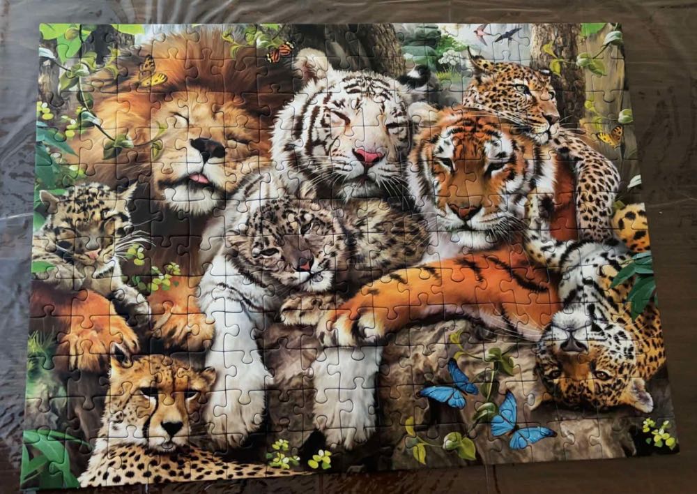 Big Cat Nap - Ravensburger puzzle collectible [Barcode 4005556127214] - Main Image 4