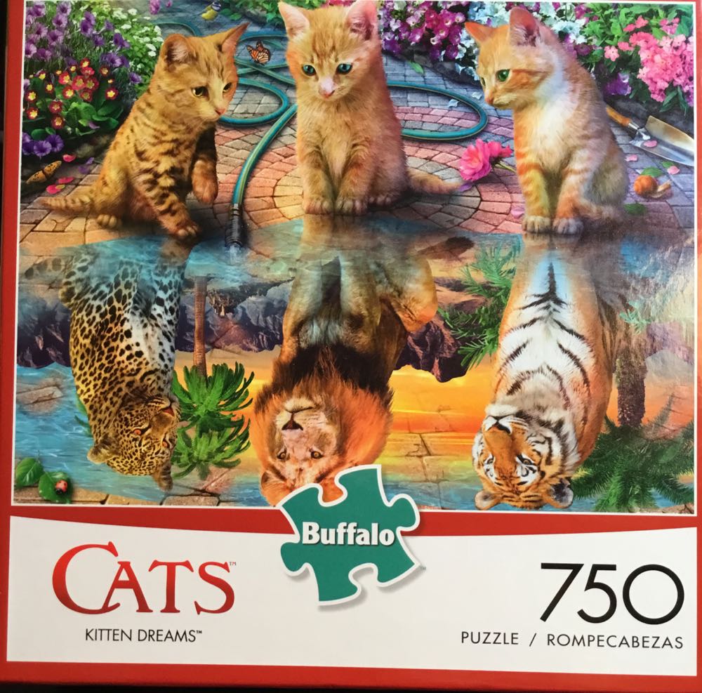 Friends: Happy Birthday