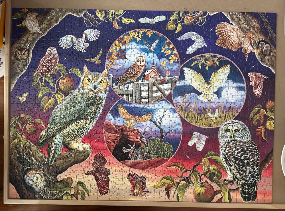 Owl Magic - Cobble Hill puzzle collectible [Barcode 625012802208] - Main Image 2