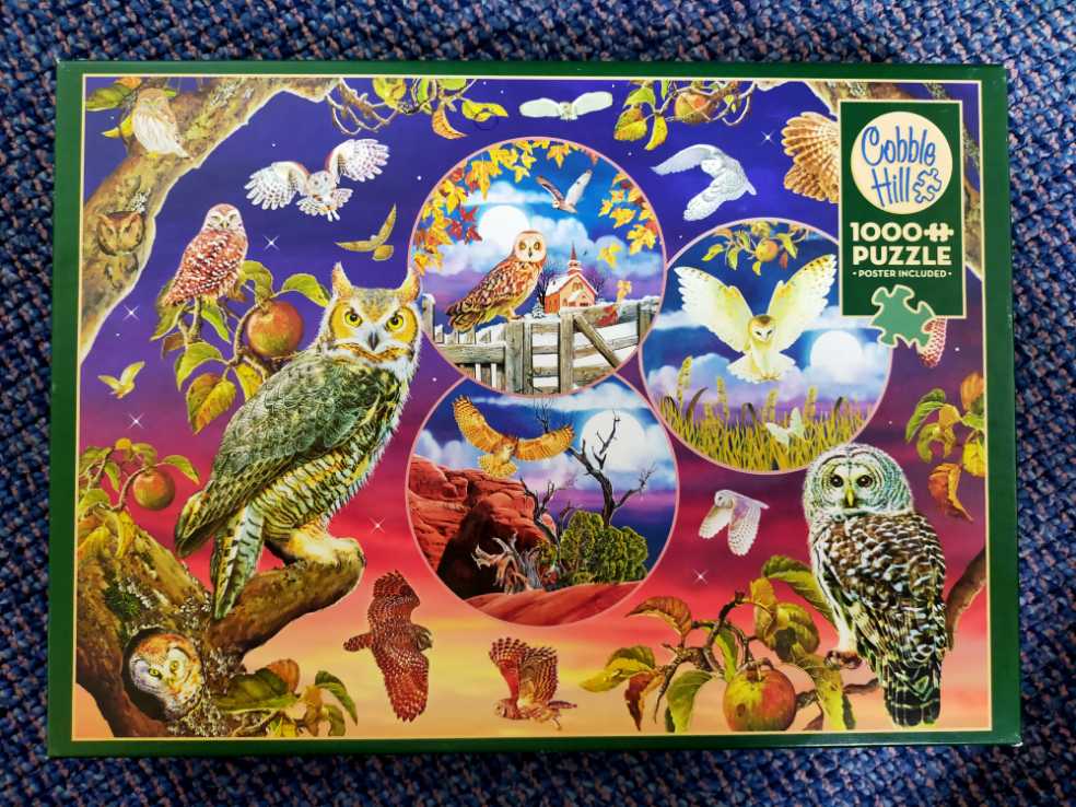 Owl Magic - Cobble Hill puzzle collectible [Barcode 625012802208] - Main Image 3