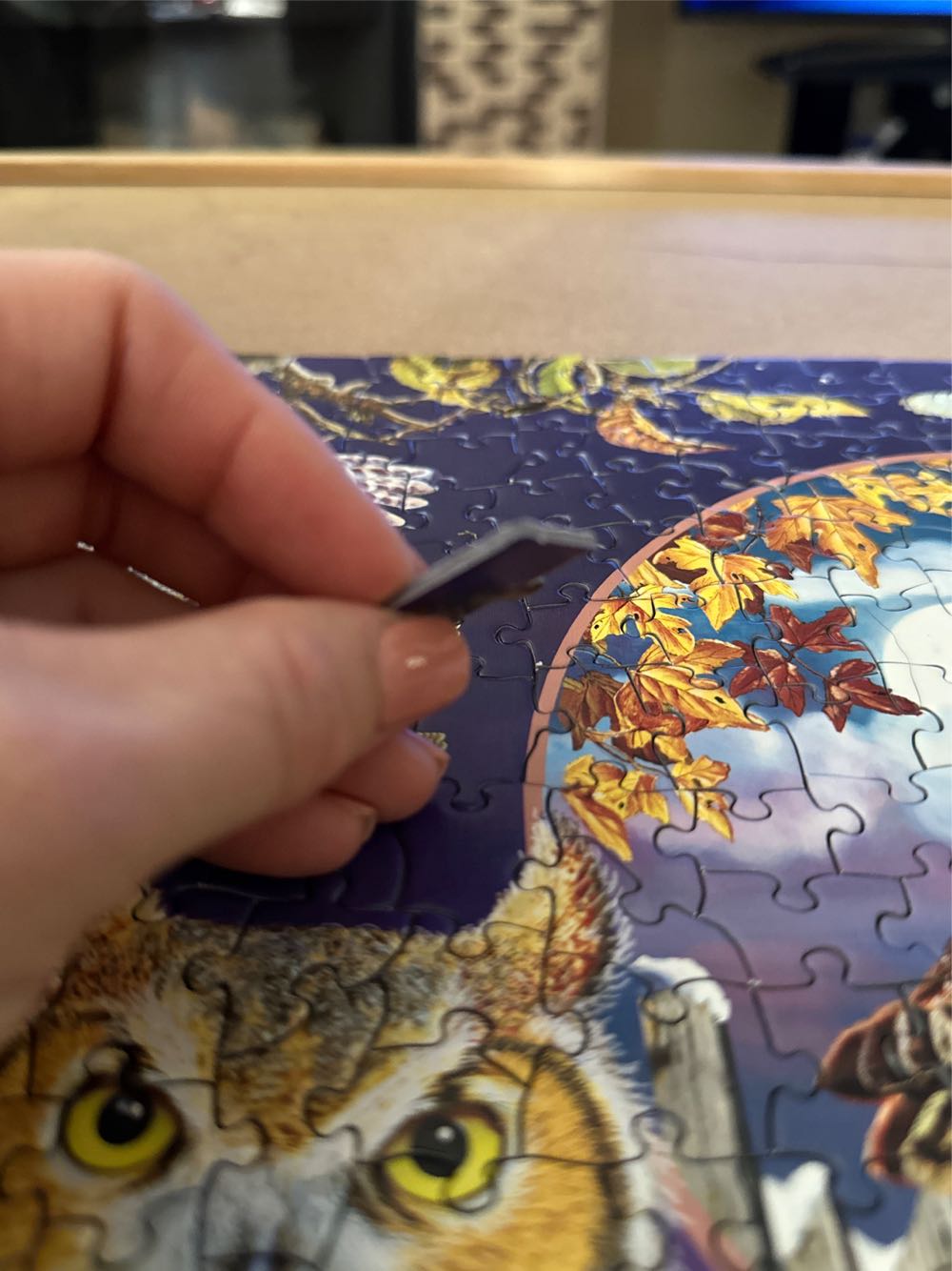 Owl Magic - Cobble Hill puzzle collectible [Barcode 625012802208] - Main Image 4