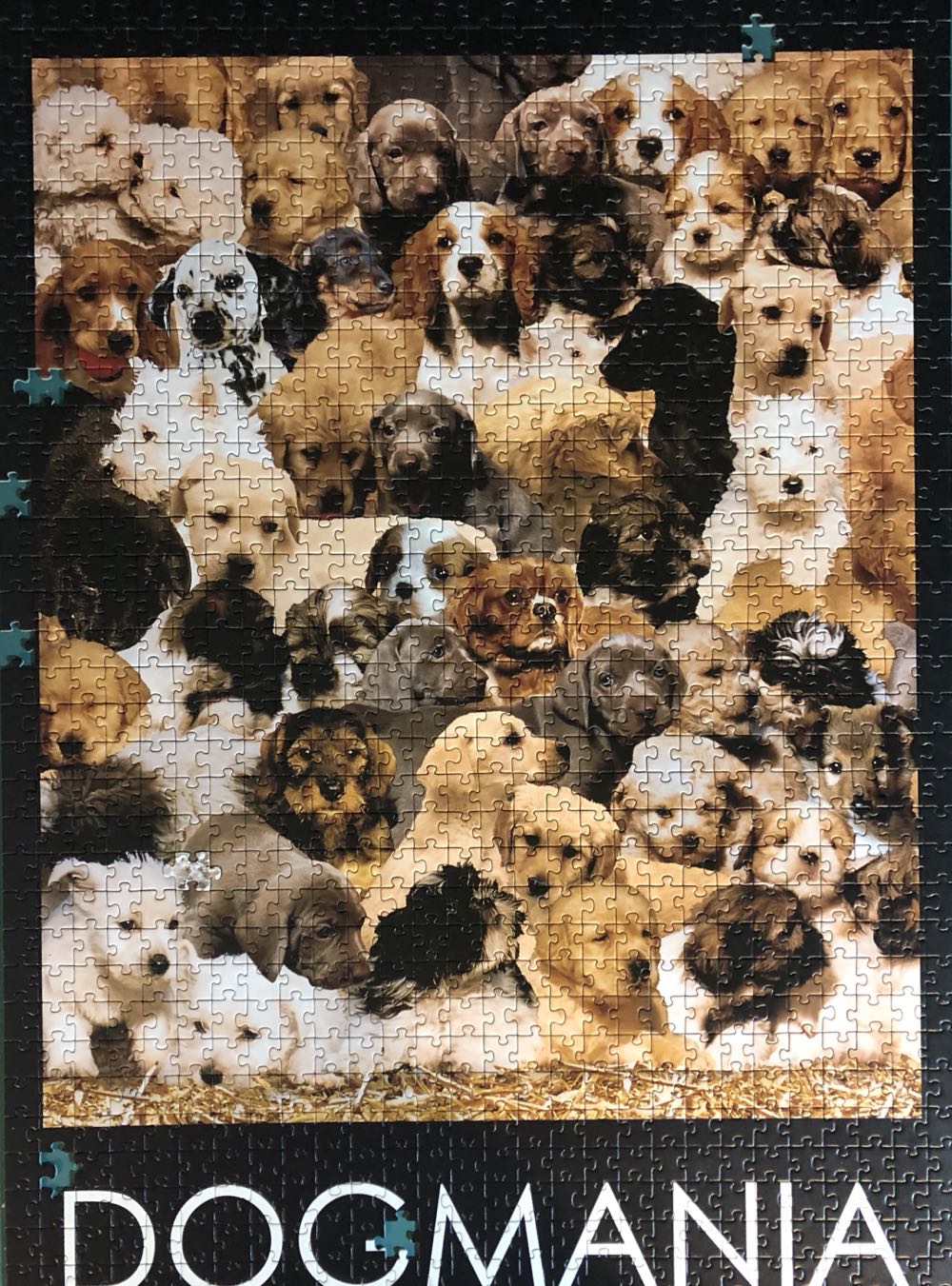 Dogmania - Ravensburger puzzle collectible - Main Image 2