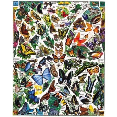 World’s Most Beautiful Butterflies-Chs - White Mountain 🇺🇸 puzzle collectible [Barcode 724819247882] - Main Image 2