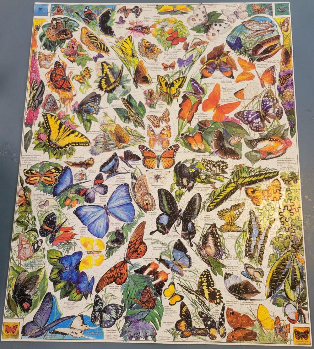 World’s Most Beautiful Butterflies-Chs - White Mountain 🇺🇸 puzzle collectible [Barcode 724819247882] - Main Image 3