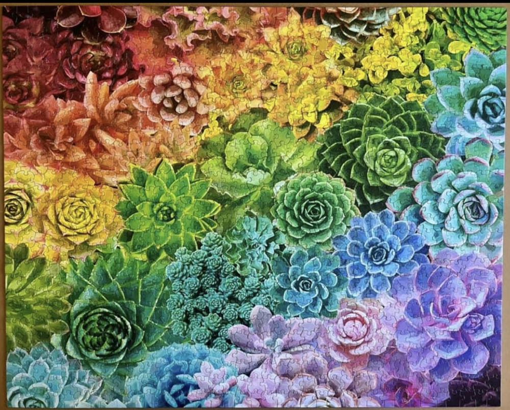 Succulent Rainbow - White Mountain Puzzles puzzle collectible [Barcode 724819263639] - Main Image 3