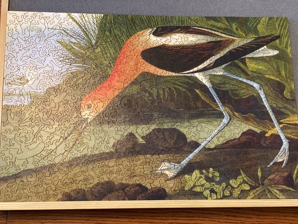 American Avocet - Liberty puzzles puzzle collectible - Main Image 2