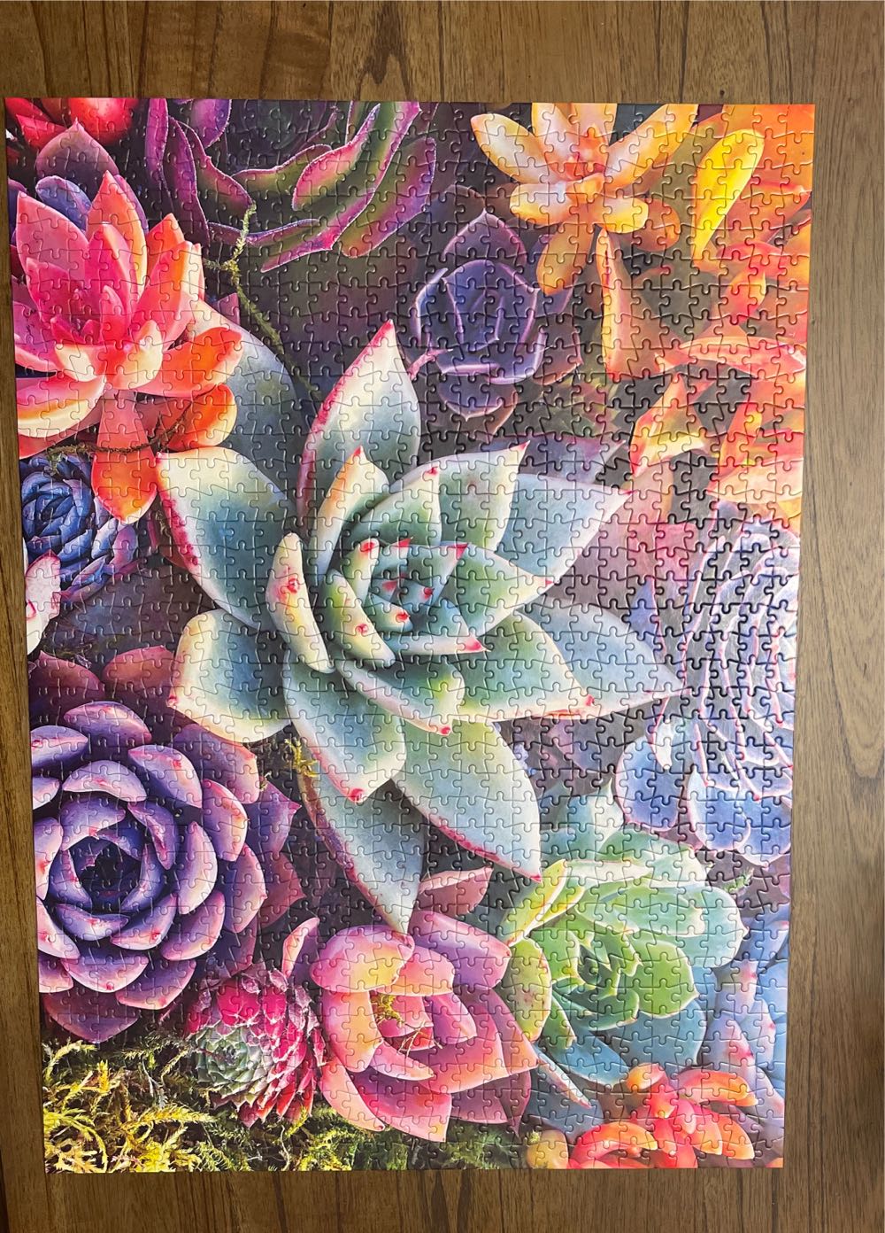 Simple Succulents - Buffalo puzzle collectible [Barcode 079346119851] - Main Image 2