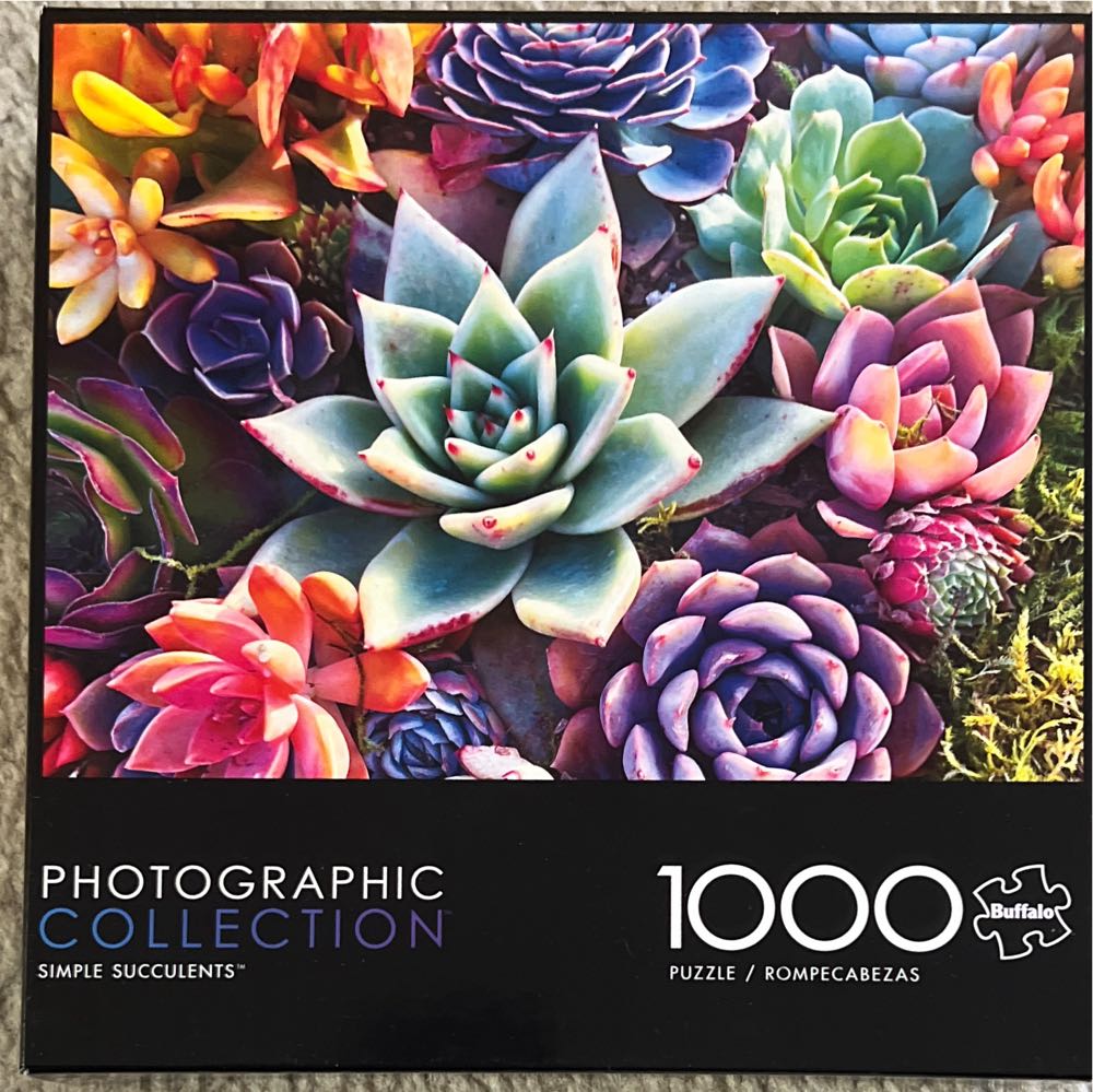 Simple Succulents - Buffalo puzzle collectible [Barcode 079346119851] - Main Image 3