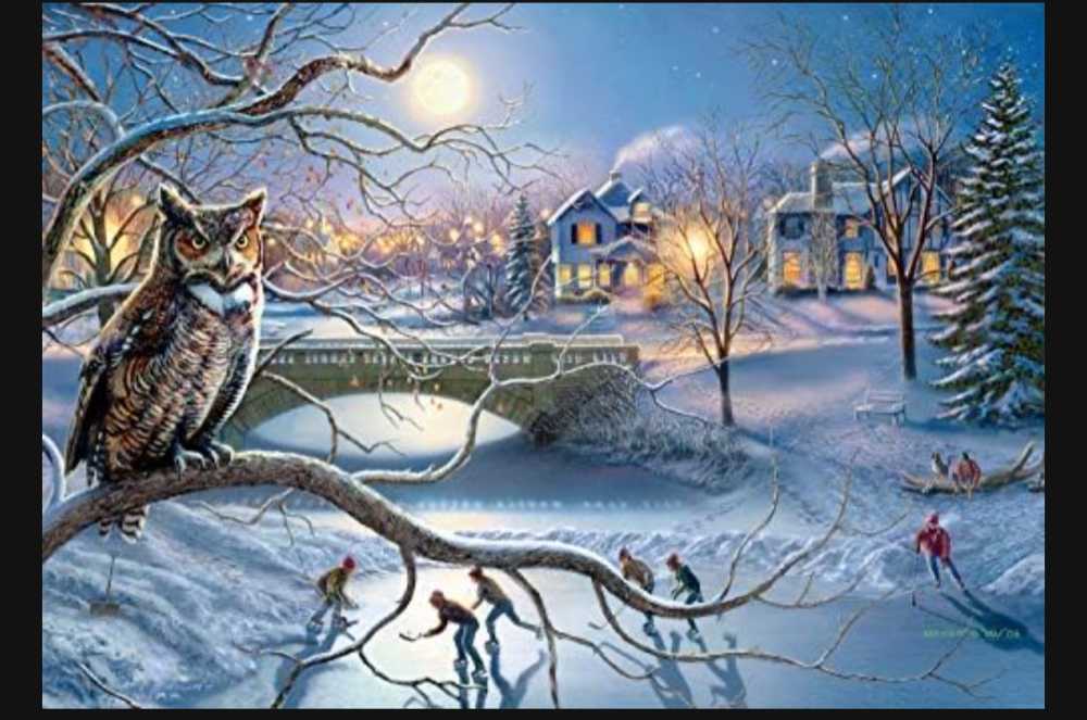 Nighttime Hockey March 300 Piece - Buffalo puzzle collectible [Barcode 079346025763] - Main Image 2