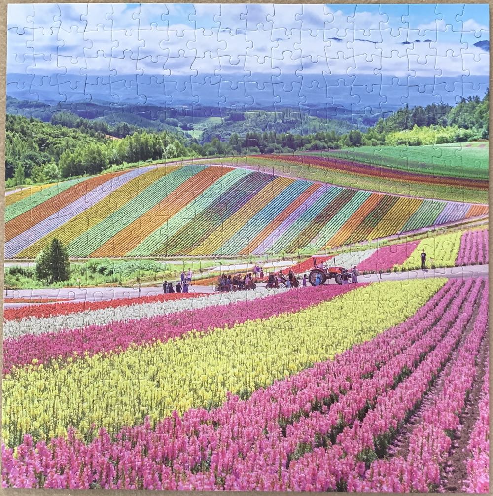 Rainbow Fields - Buffalo Games puzzle collectible [Barcode 079346028450] - Main Image 3