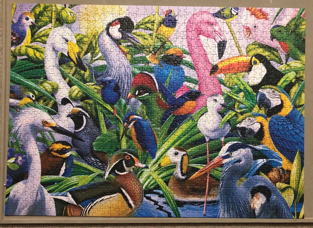 Colorful Companions - MasterPieces puzzle collectible [Barcode 705988720628] - Main Image 2