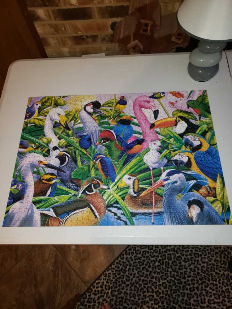 Colorful Companions - MasterPieces puzzle collectible [Barcode 705988720628] - Main Image 3