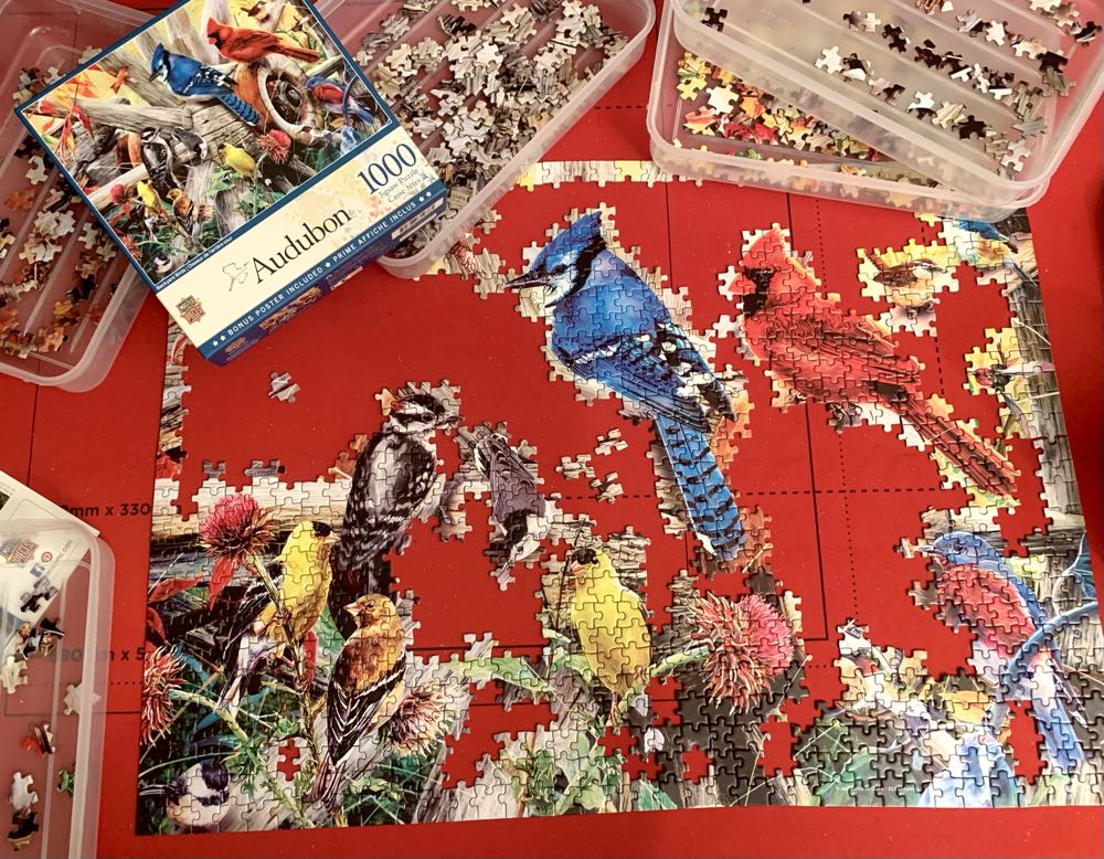 Backyard Birds - MasterPieces puzzle collectible [Barcode 705988319785] - Main Image 4