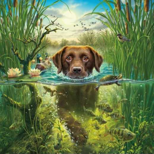 Dog Swimming (Water’s Edge) -  Ceaco puzzle collectible [Barcode 021081240116] - Main Image 2