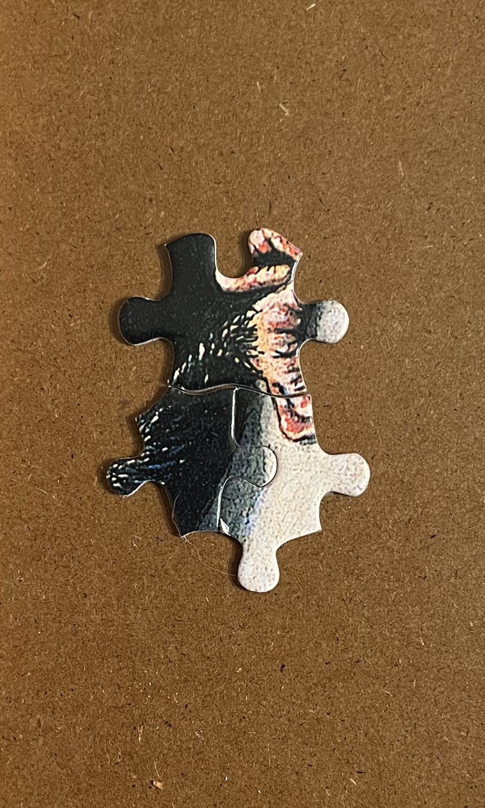 Family Reunion C🚪 📸 - White Mountain puzzle collectible [Barcode 724819252251] - Main Image 4