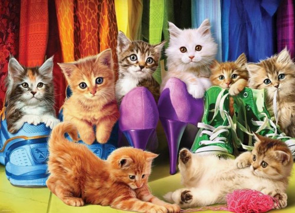 Kitten Pride - Eurographics puzzle collectible [Barcode 628136655439] - Main Image 2