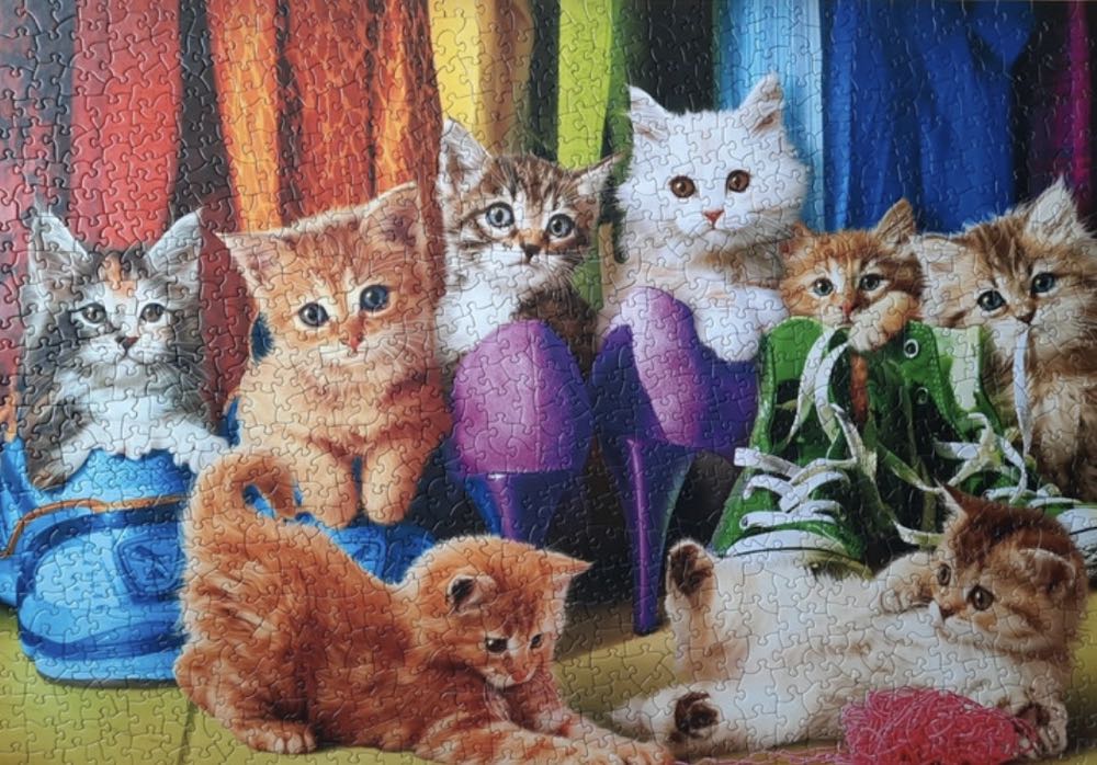 Kitten Pride - Eurographics puzzle collectible [Barcode 628136655439] - Main Image 3