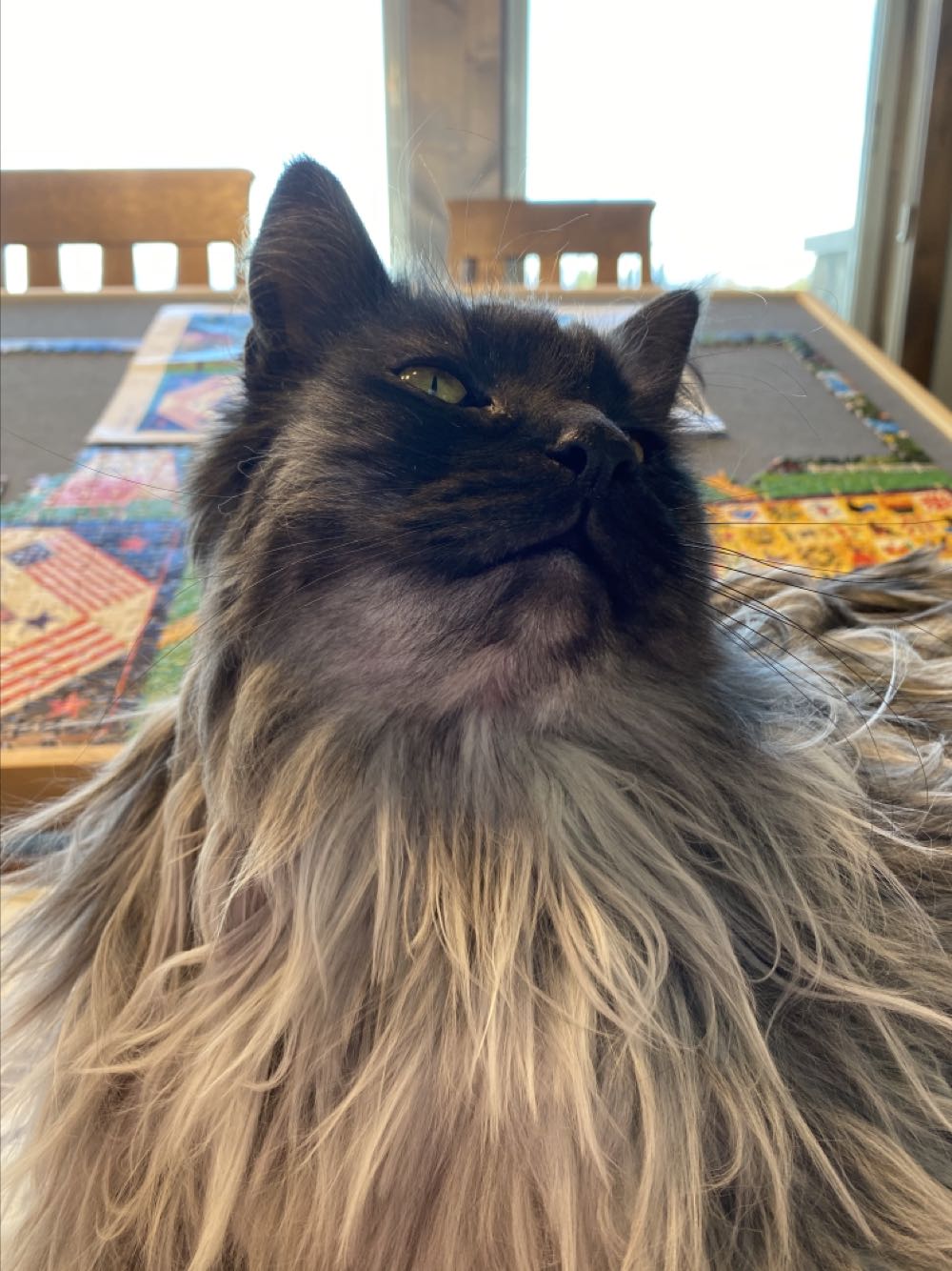 Quiltmaker Lady, The - Buffalo Games 🇺🇸 puzzle collectible [Barcode 079346114863] - Main Image 4