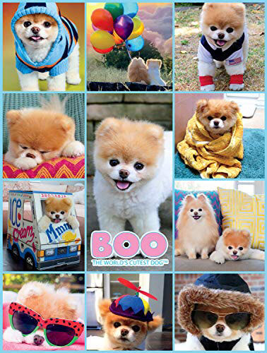 Spring Cleaning (V) 🧩