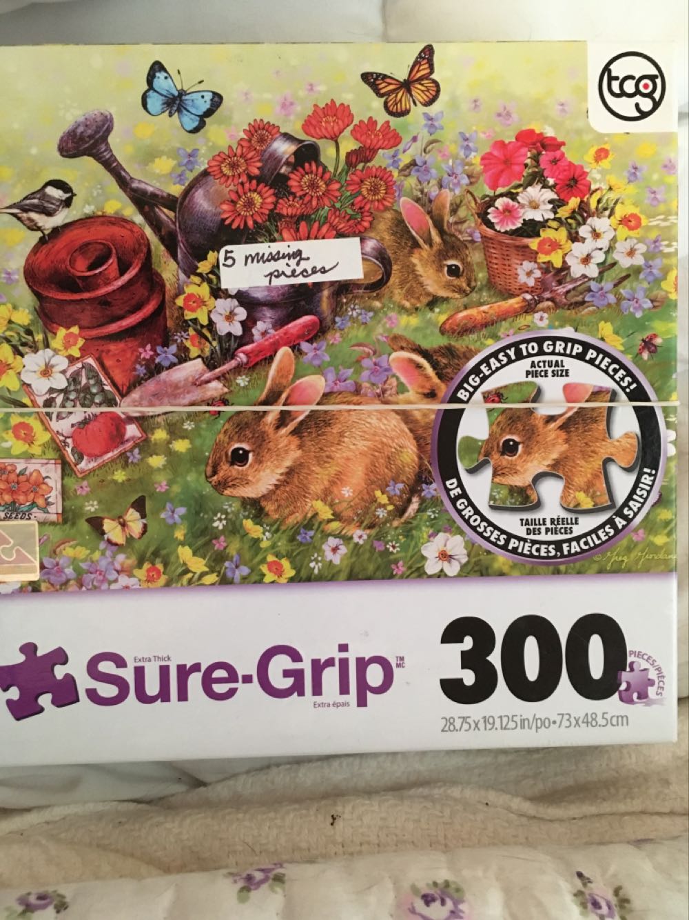 Williamsburg Virginia