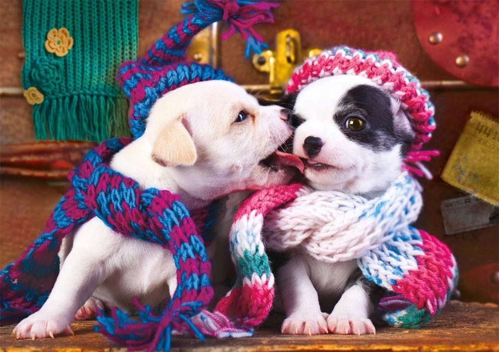 Best Friends - Buffalo puzzle collectible [Barcode 079346027019] - Main Image 2