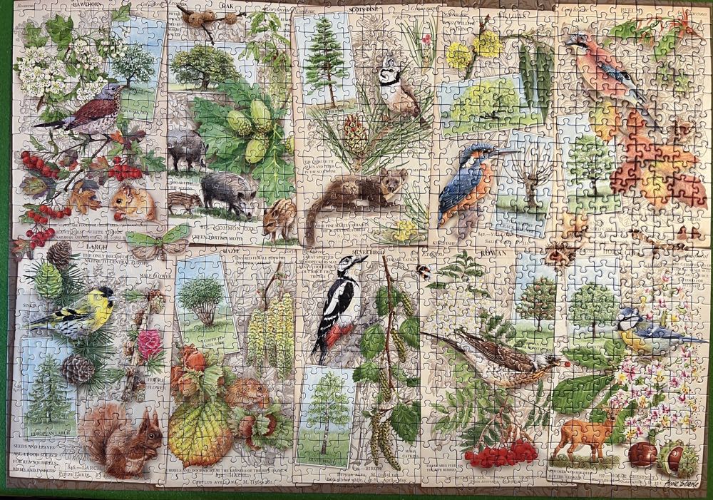 Wondrous Trees - Ravensburger puzzle collectible [Barcode 4005556164219] - Main Image 2