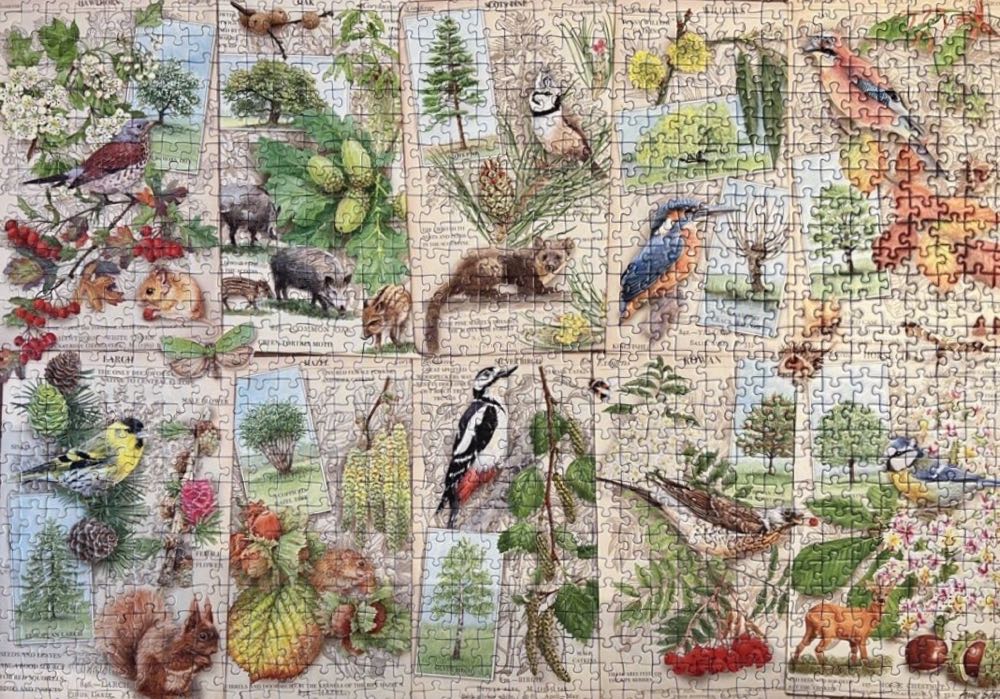 Wondrous Trees - Ravensburger puzzle collectible [Barcode 4005556164219] - Main Image 3