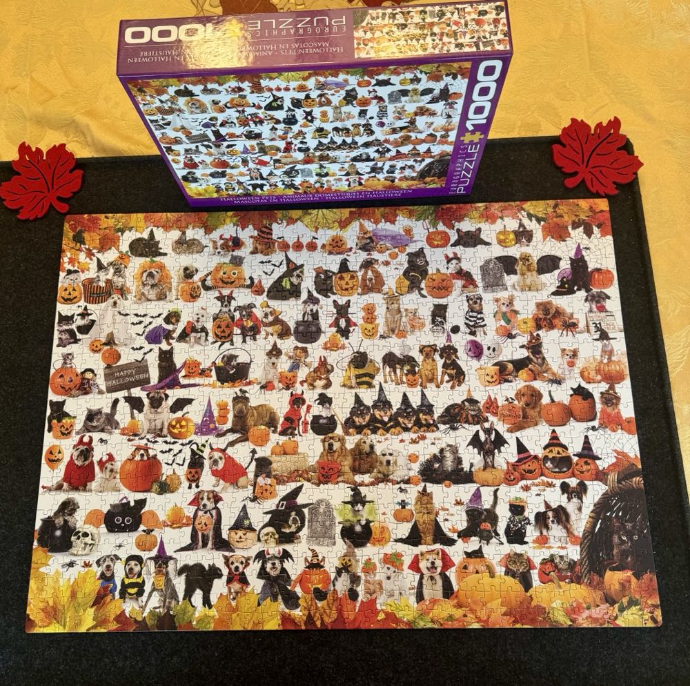 Halloween Pets - Eurographics puzzle collectible [Barcode 628136654166] - Main Image 3
