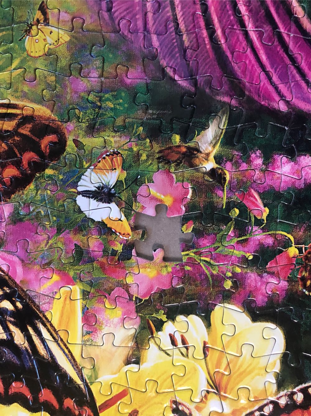 Hummingbird Garden - Buffalo puzzle collectible [Barcode 079346117086] - Main Image 3