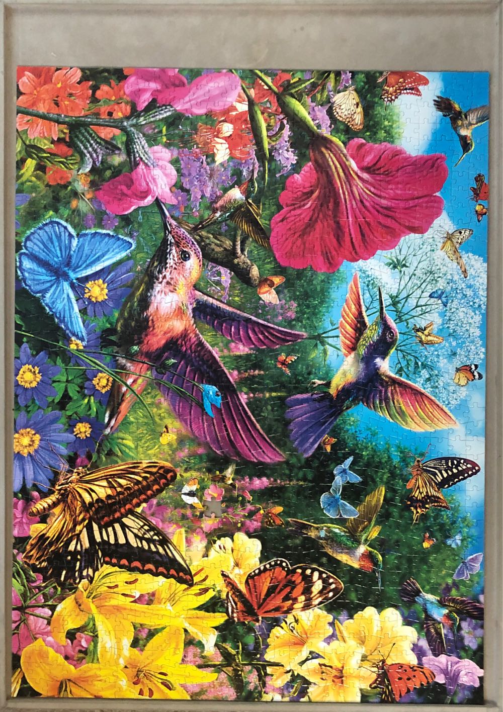 Hummingbird Garden - Buffalo puzzle collectible [Barcode 079346117086] - Main Image 4