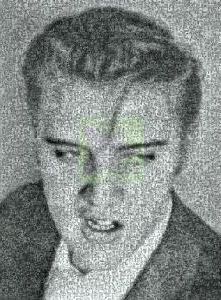 Elvis  - Buffalo puzzle collectible [Barcode 079346805266] - Main Image 2