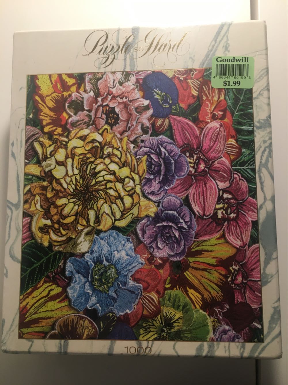 Cats On The Quay Panorama