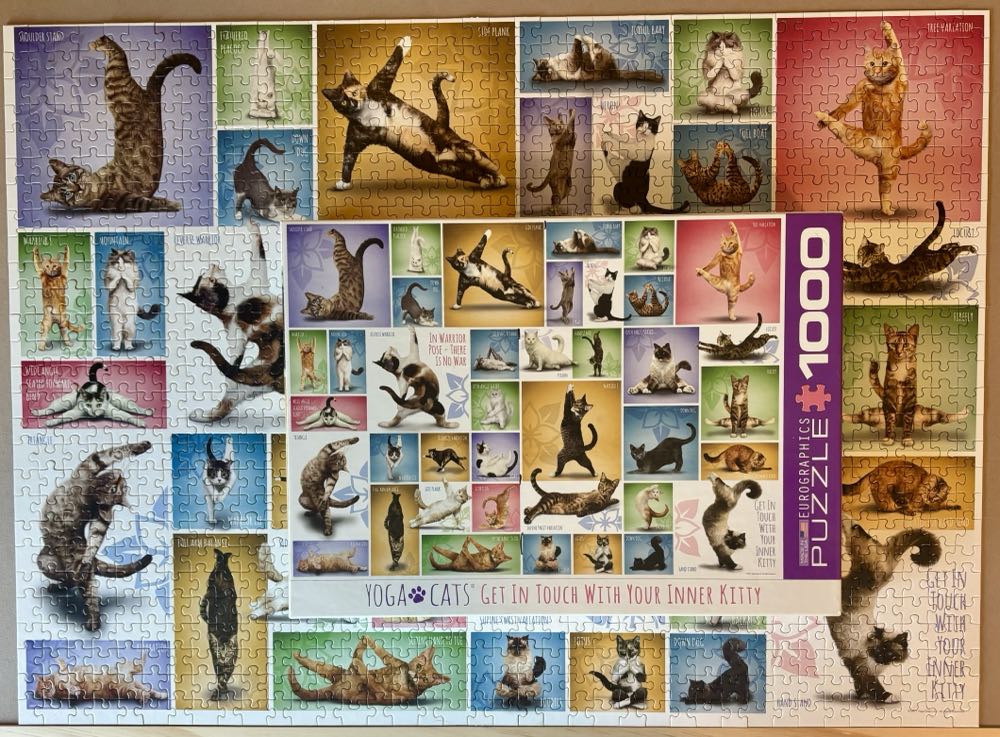 Yoga Cats - Eurographics 🇺🇸 puzzle collectible [Barcode 628136609531] - Main Image 3