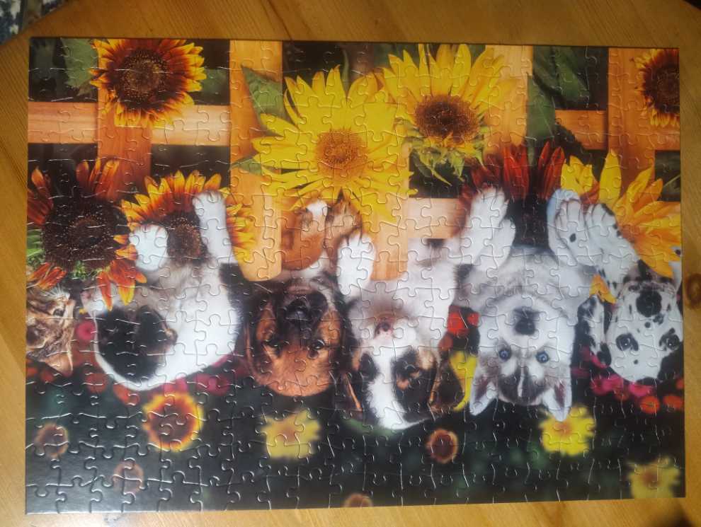 Gang’s All Here / Jerry Kramer  - Buffalo puzzle collectible [Barcode 079346027057] - Main Image 4