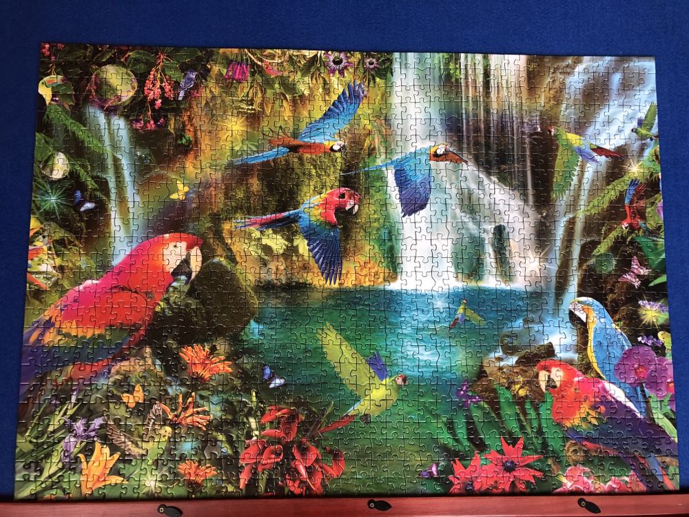 Tropical Parrots - Educa puzzle collectible [Barcode 8412668184572] - Main Image 2
