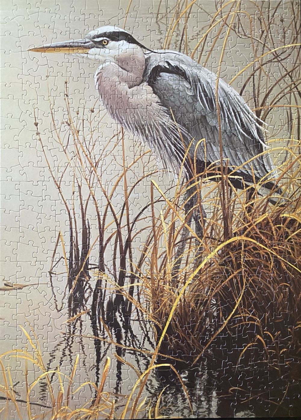 Great Blue Heron - Cobble Hill puzzle collectible [Barcode 625012850292] - Main Image 4
