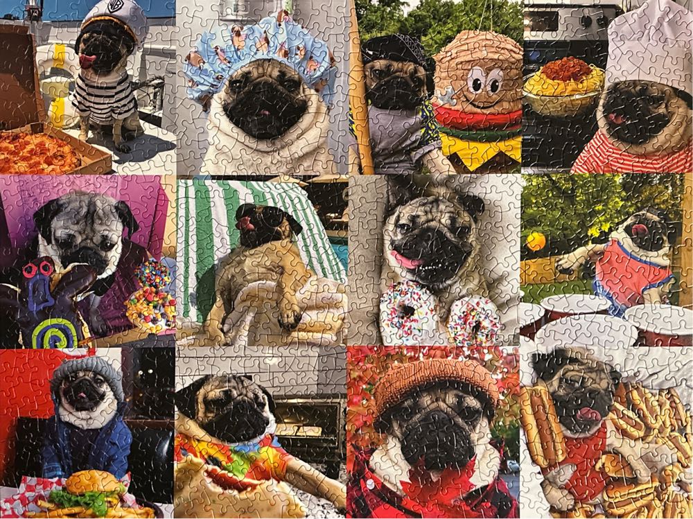 Doug The Pug Pug Life - Willow Creek puzzle collectible [Barcode 709786047598] - Main Image 2