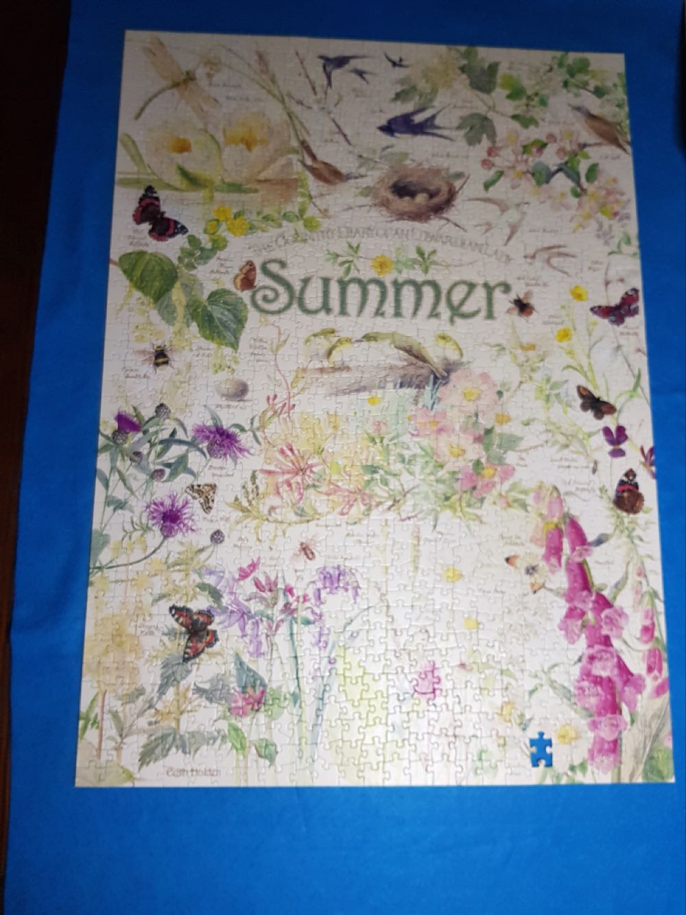 Summer - Cobble Hill puzzle collectible [Barcode 625012802123] - Main Image 2