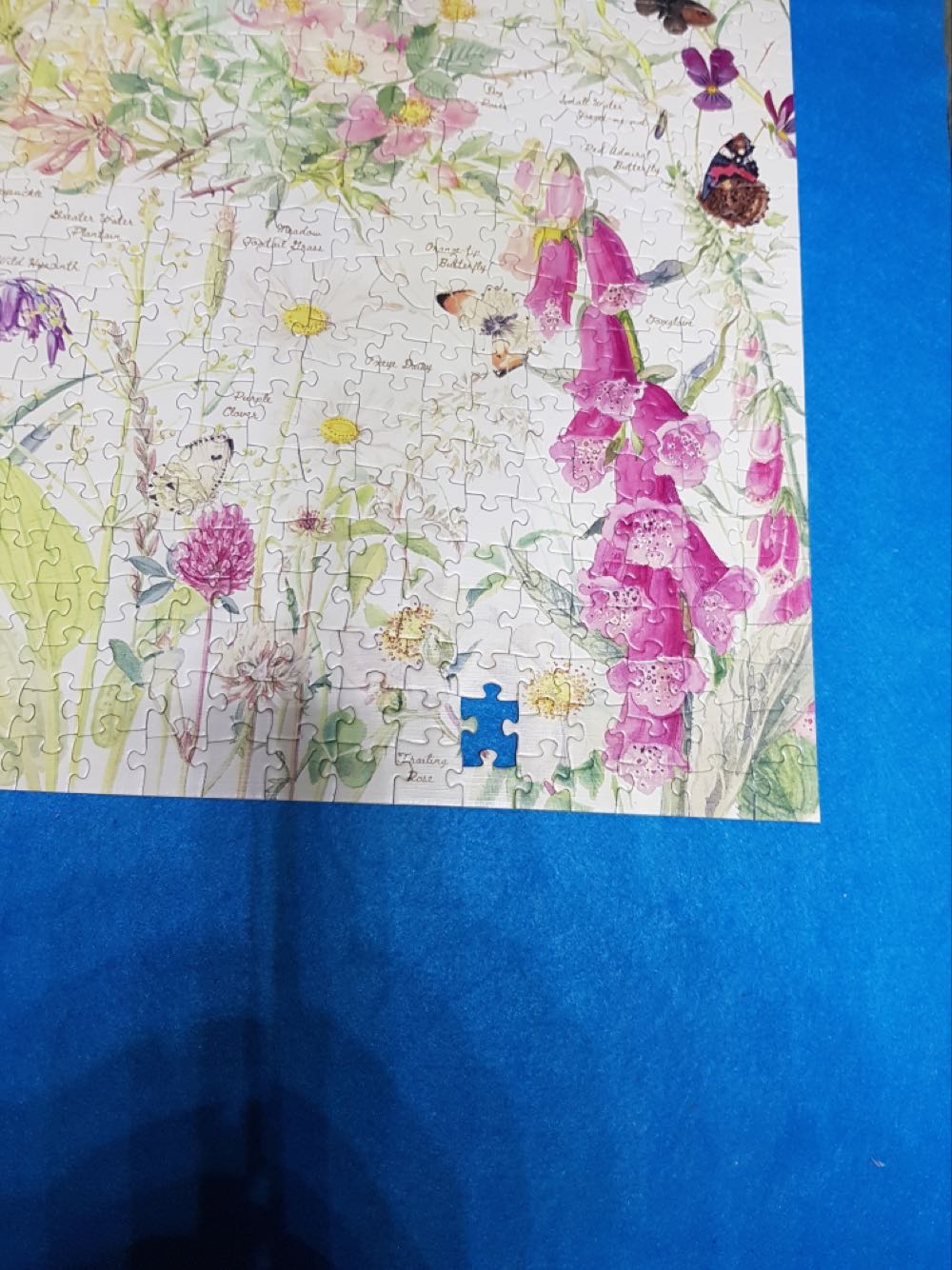 Summer - Cobble Hill puzzle collectible [Barcode 625012802123] - Main Image 3