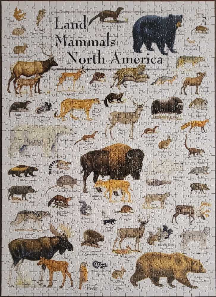 Land Mammals Of North America. - Puzzle Twist puzzle collectible [Barcode 705988719738] - Main Image 2