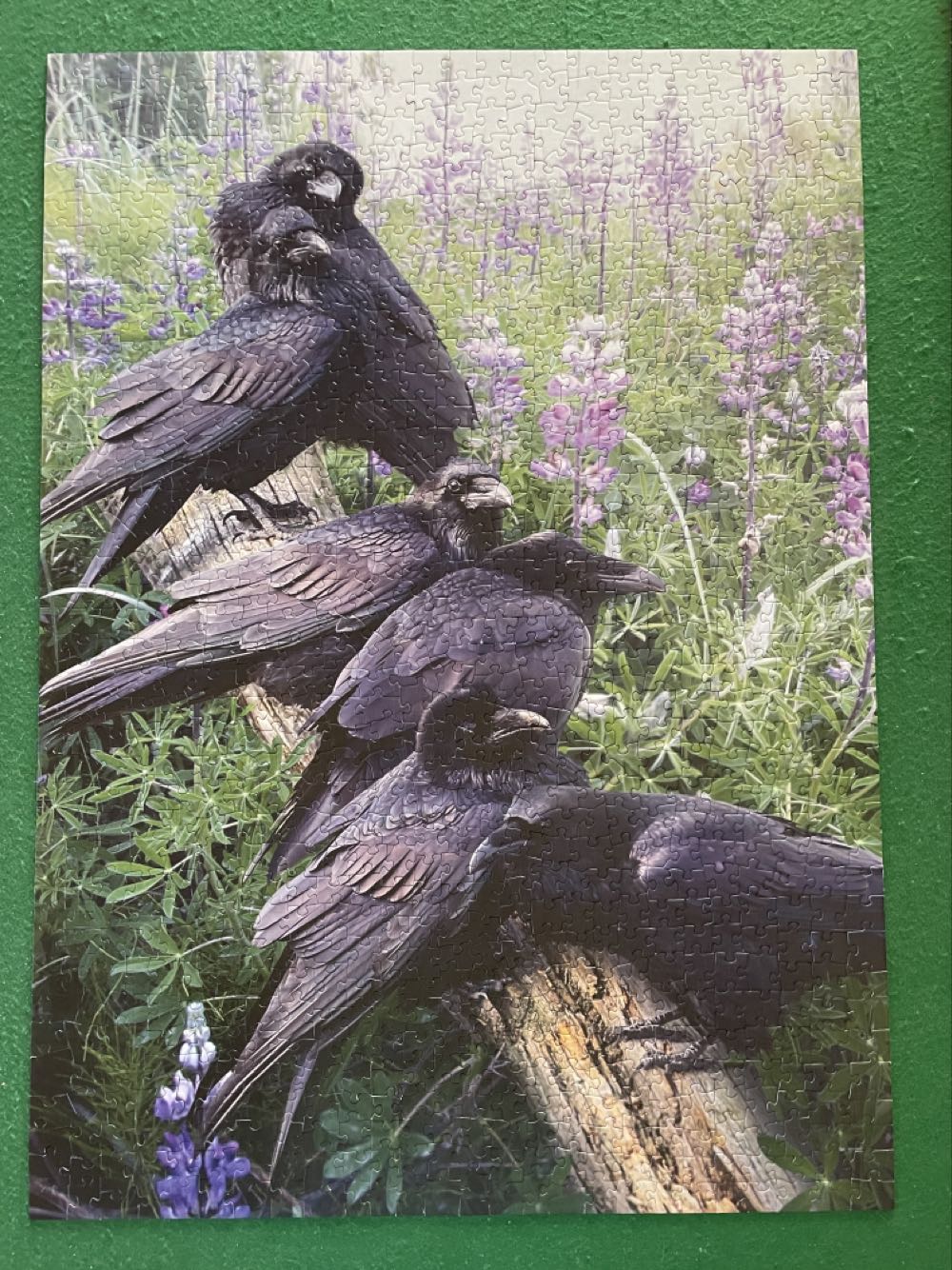Raven Rendezvous - Cobble Hill puzzle collectible [Barcode 625012802529] - Main Image 2