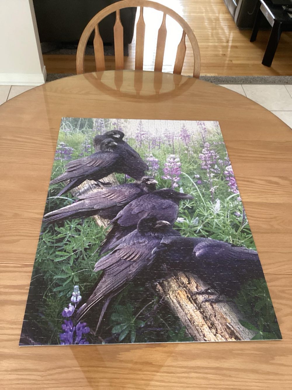 Raven Rendezvous - Cobble Hill puzzle collectible [Barcode 625012802529] - Main Image 4