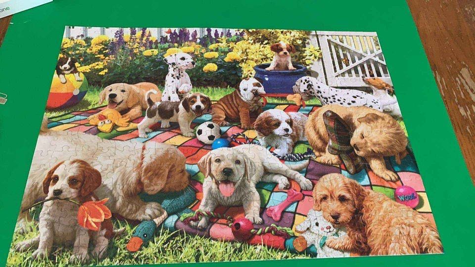 Puppy Playground - Buffalo puzzle collectible [Barcode 079346027088] - Main Image 2