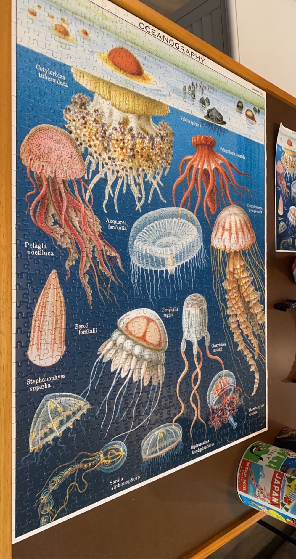 Jellyfish - Cavallini & Co puzzle collectible [Barcode 9781635448740] - Main Image 3