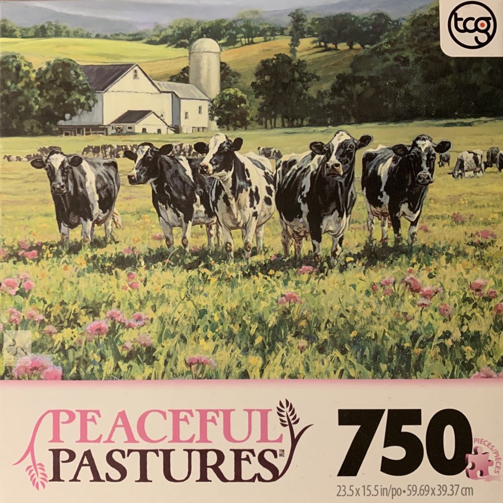 Fairyland China (De China 2 1 000 Pieces)