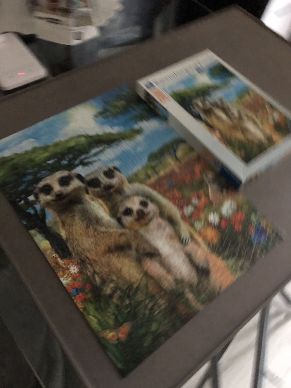 Mischievous Meerkats - Ravensburger puzzle collectible [Barcode 4005556147441] - Main Image 2
