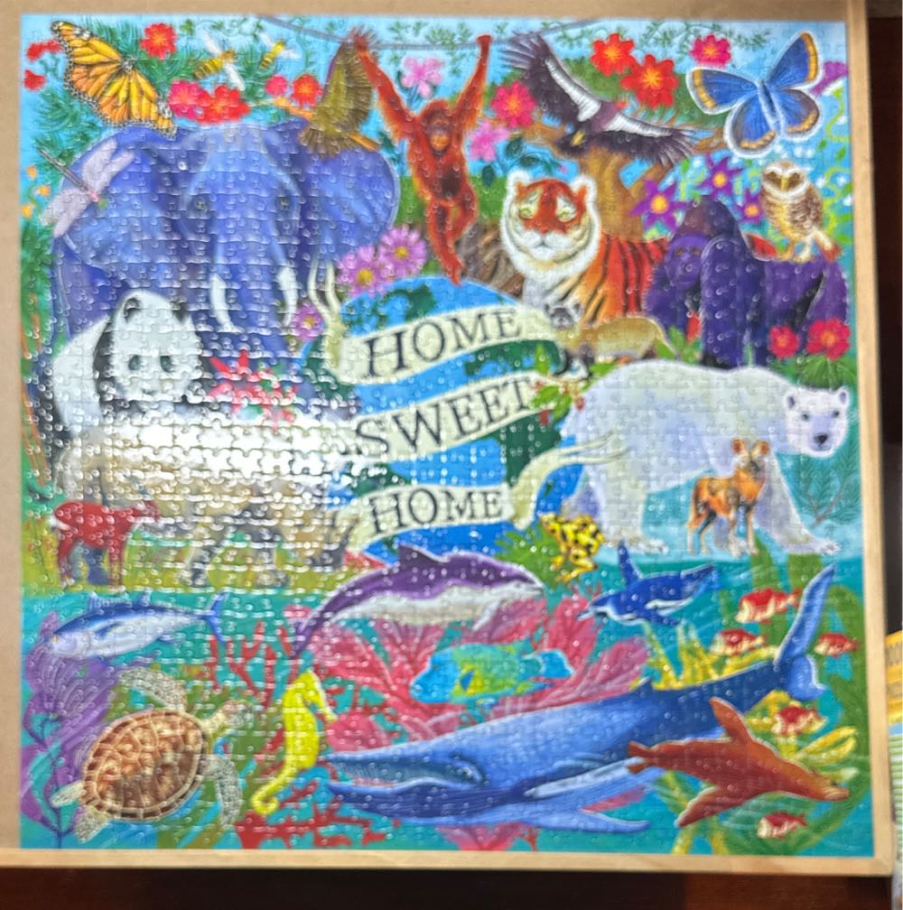 Planet Earth - Eeboo puzzle collectible [Barcode 689196510472] - Main Image 3