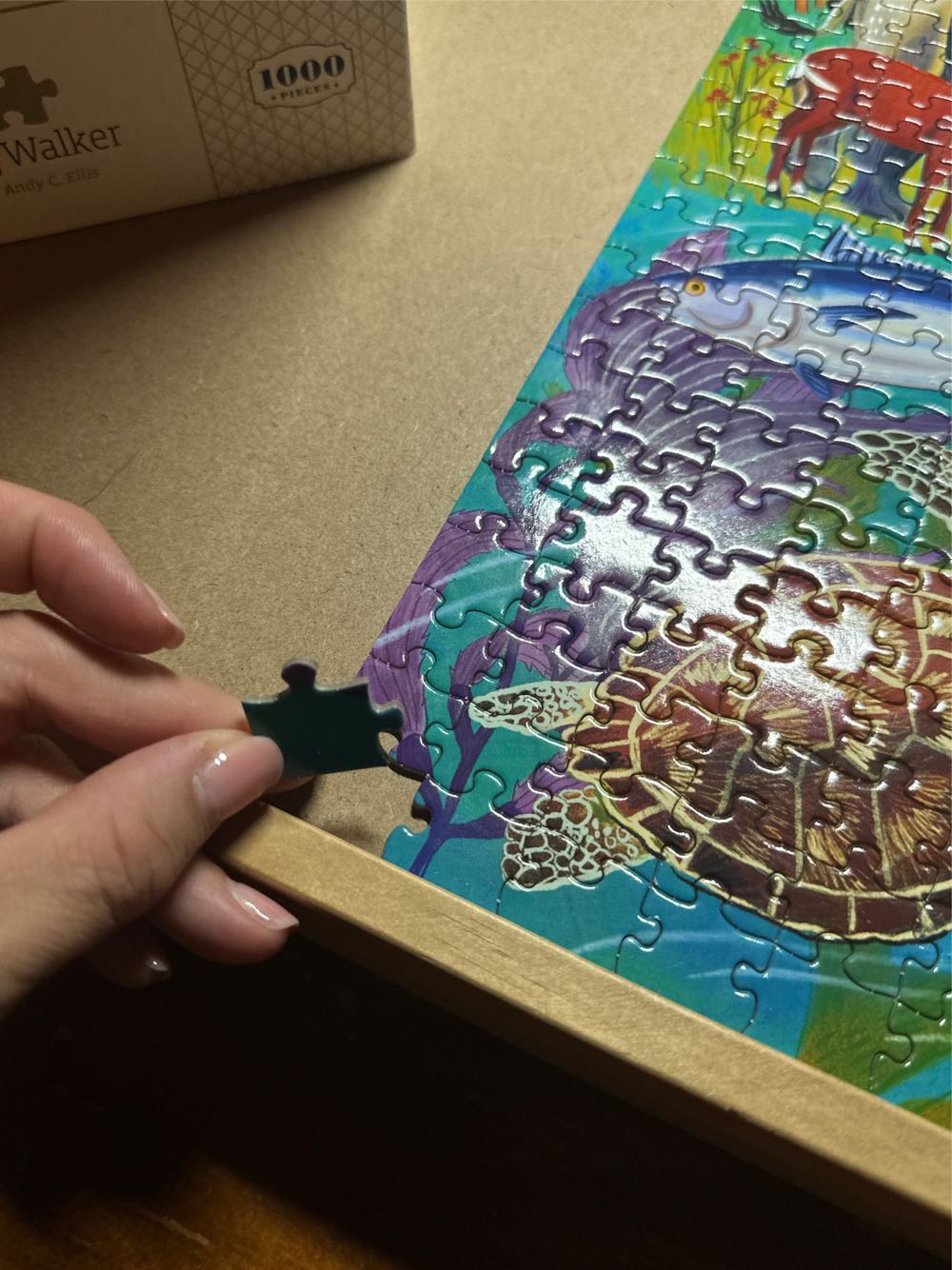 Planet Earth - Eeboo puzzle collectible [Barcode 689196510472] - Main Image 4