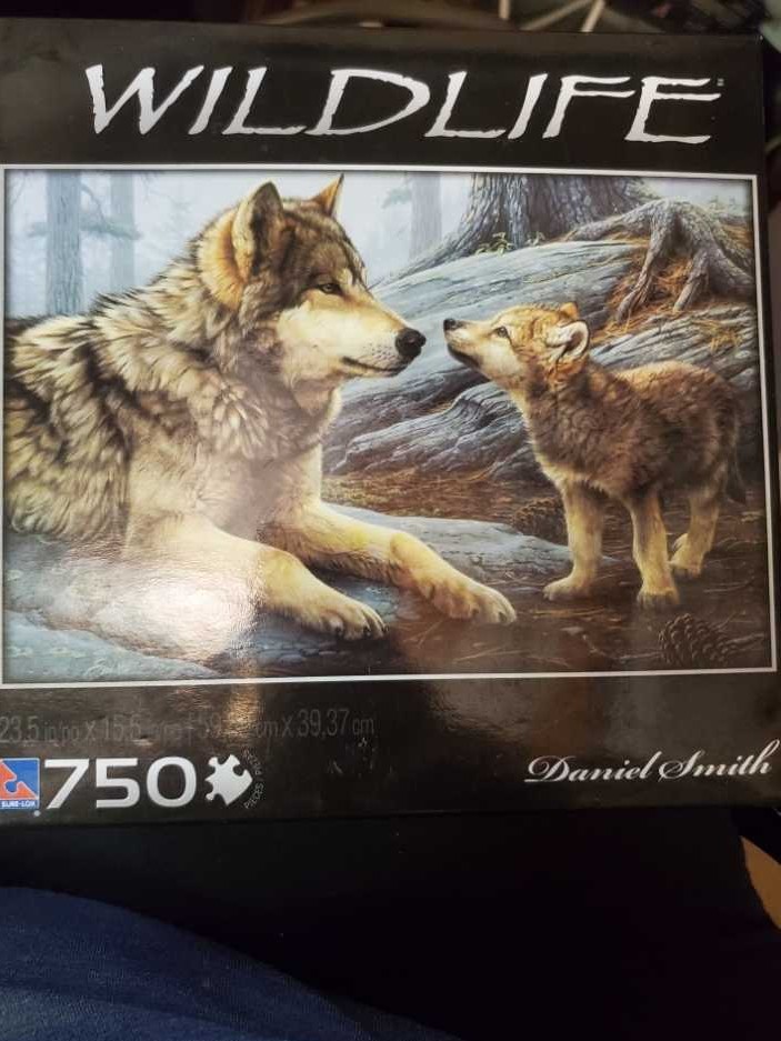 Cupcakes and Saucers